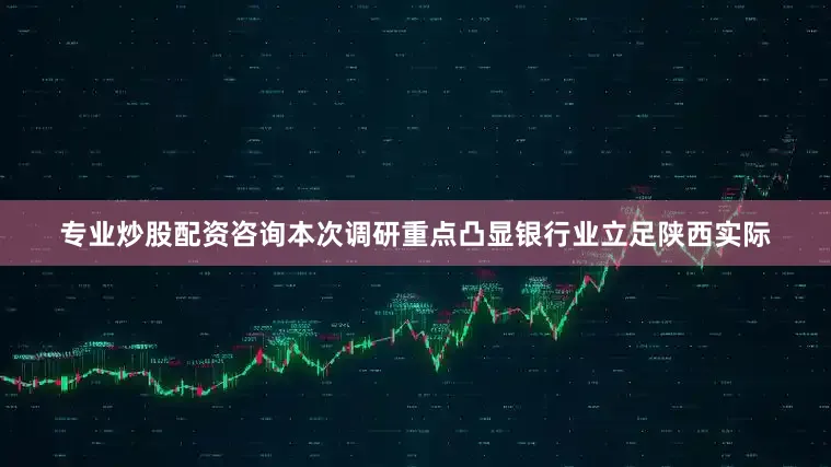 专业炒股配资咨询本次调研重点凸显银行业立足陕西实际