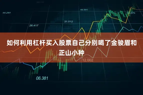 如何利用杠杆买入股票自己分别喝了金骏眉和正山小种
