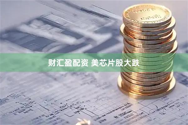财汇盈配资 美芯片股大跌