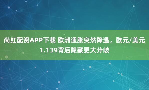 尚红配资APP下载 欧洲通胀突然降温，欧元/美元1.139背后隐藏更大分歧
